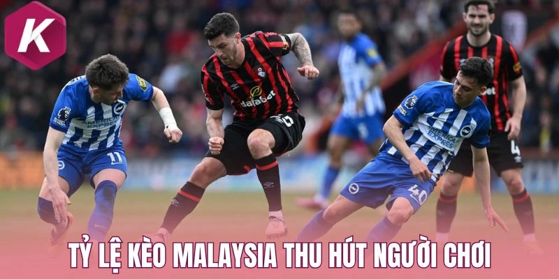 Tỷ lệ kèo Malaysia thu hút người chơi