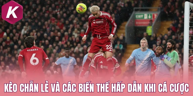 Kèo chẵn lẻ và các biến thể hấp dẫn khi cá cược