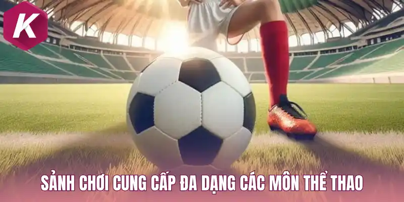 Giới thiệu sân chơi cung cấp đa dạng các môn thể thao